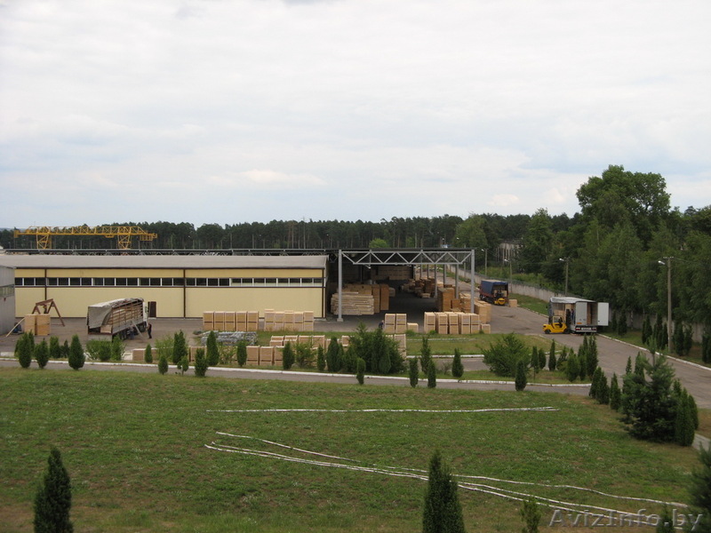 Продаем деревообрабатывающее предприятие - Изображение #1, Объявление #16161