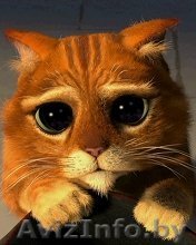 Cрочно снимем жилье!Cделаем ремонт, починим краны.ВОЗНАГРАЖДЕНИЕ ЗА ПОМОЩЬ 50$ - Изображение #1, Объявление #993976