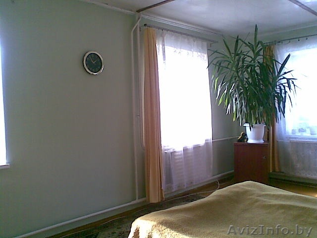 Продам срочно шикарную юкку для уюта вашего дома - Изображение #1, Объявление #1011071