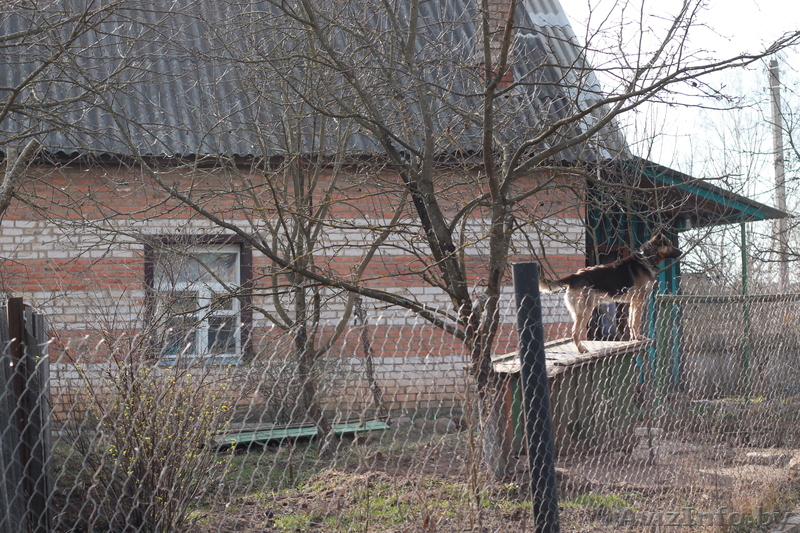 продам дом  в агрогородке.Срочно.Недорого - Изображение #1, Объявление #1074272