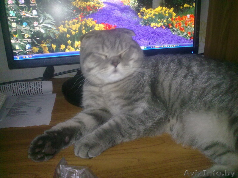 настольный  компьютер бу - Изображение #1, Объявление #1089650