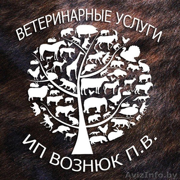 Ветеринарные услуги для КРС и домашних питомцев - Изображение #1, Объявление #1301459