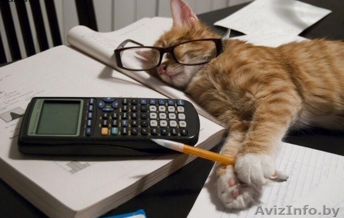 ИП Гончарик А.М. - Изображение #1, Объявление #1465750