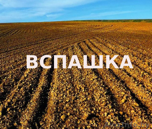 Вспашка поля, огорода - Изображение #1, Объявление #1607304