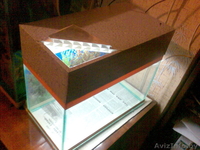 Продам аквариум и компресор. - Изображение #2, Объявление #123564