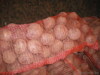 овощи оптом собственного производства - Изображение #1, Объявление #601903