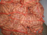 овощи оптом собственного производства - Изображение #3, Объявление #601903