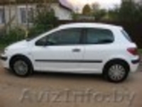 Пыжик ищет хозяйку - Изображение #2, Объявление #792078