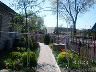 Рассада кустарника - Спирея японская - Изображение #2, Объявление #964676