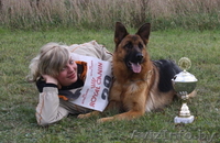 Элитные щенки немецкой овчарки из племенного питомника "Ад Астра Глория" - Изображение #3, Объявление #1149000