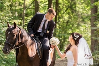 Профессиональный фотограф Борисов - Изображение #8, Объявление #1208840