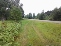 Замечательный участок возле Борисова - Изображение #4, Объявление #1220251