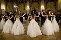 БУТИК ПРАЗДНИКОВ "ABRIKOS" - Изображение #10, Объявление #1232253