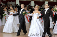 БУТИК ПРАЗДНИКОВ "ABRIKOS" - Изображение #9, Объявление #1232253