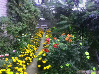 Срочно продам жилой дом на улице Юбилейной! - Изображение #1, Объявление #1489972