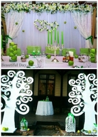 Оформление зала, украшение свадьбы,свадебный декор, Борисов, Жодино - Изображение #3, Объявление #1447546