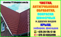 Мойка, антигрибковая обработка, Покраска Крыш. Заборов. Фасадов. - Изображение #1, Объявление #1561230