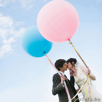 Гелиевые. воздушные шары и фигуры из шаров! Борисов, Жодино. - Изображение #1, Объявление #1615348