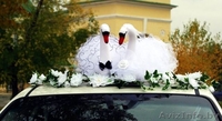 Прокат украшений на свадебные автомобили Борисов,Жодино и районы! Низкие цены! - Изображение #4, Объявление #1617466