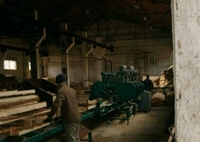 Многоленточный конвейер "Гравитон МЛК-Ш" - Изображение #2, Объявление #1645226