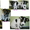 щенки от породистых собак - Изображение #2, Объявление #1336385