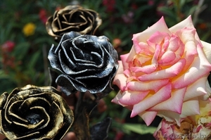 Розы кованые         - Изображение #2, Объявление #555414
