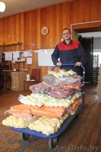 свежие овощи(картофель, морковь, свекла,  и зелень в вакуумной упаковке