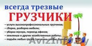 Грузчики в Борисове,Жодино - Изображение #1, Объявление #848404