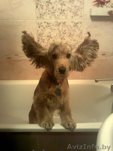 100%эмалировка ванн на дому,  наливная ванна.