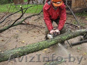 Распилим дрова на чурки по 30,  40 см.