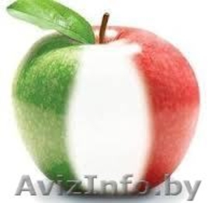 Итальянский язык (обучение в мини-группах) - Изображение #1, Объявление #1092143