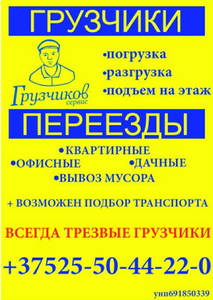 Грузчиков сервис #1262418