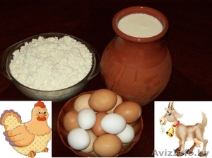 Козье молоко, творог, яйцо куриное свое - Изображение #1, Объявление #1443278