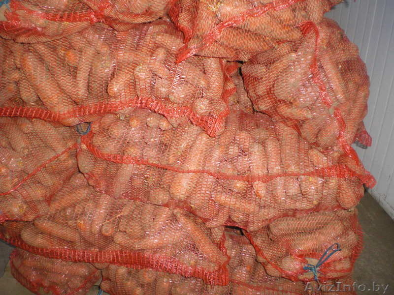 овощи оптом собственного производства - Изображение #3, Объявление #601903