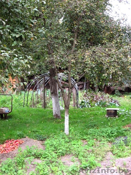 Продам дом с участком в Борисове (ул.Заводская)  - Изображение #3, Объявление #752584