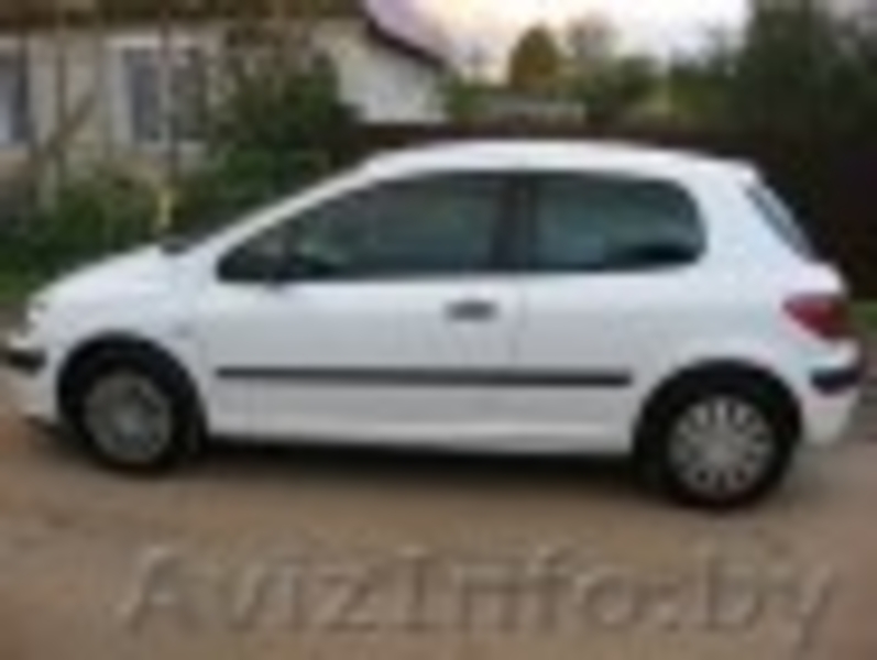 Пыжик ищет хозяйку - Изображение #2, Объявление #792078