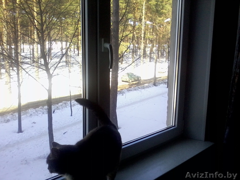 Продам отличную квартиру в г. Борисове в отличном районе - Изображение #3, Объявление #870537