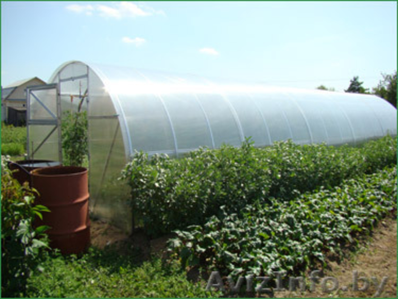 Теплицы из поликарбоната "ECO"(Комплект: каркас+ПОЛИКАРБОНАТ) - Изображение #1, Объявление #982213