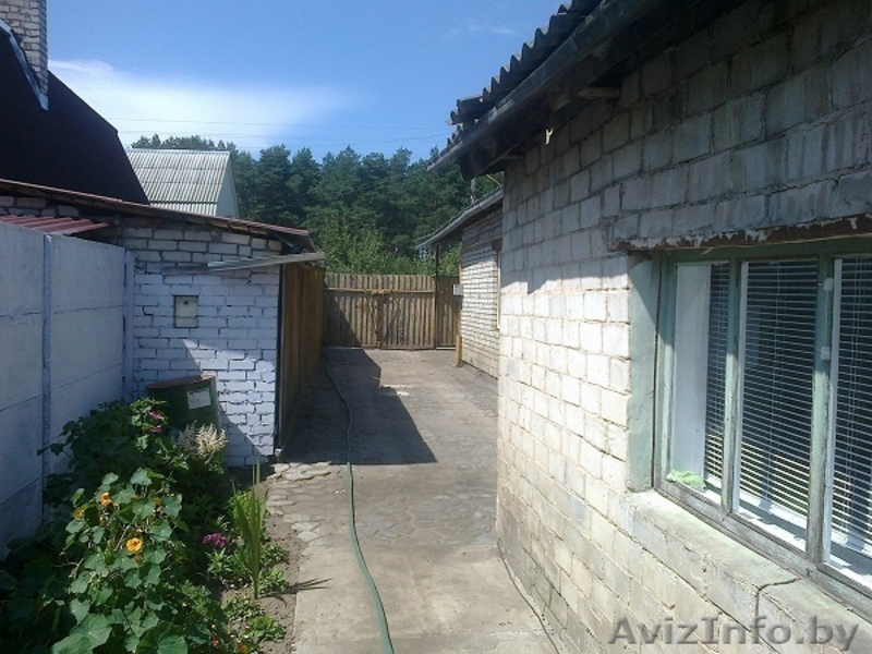 Дом Борисов,остров - Изображение #3, Объявление #1095638