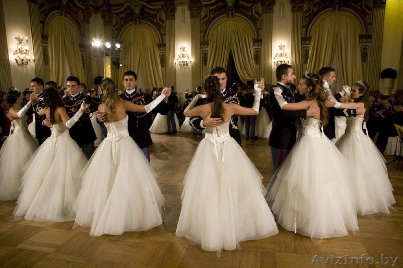 БУТИК ПРАЗДНИКОВ "ABRIKOS" - Изображение #10, Объявление #1232253