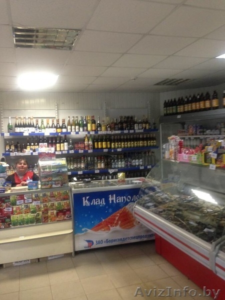 Продажа готового бизнеса (магазины по розливу живого пива) - Изображение #1, Объявление #1269030