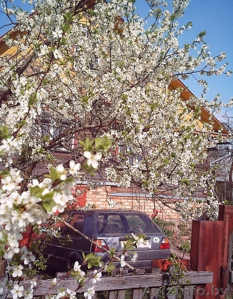 автомобиль Volkswagen Golf - Изображение #3, Объявление #1317978