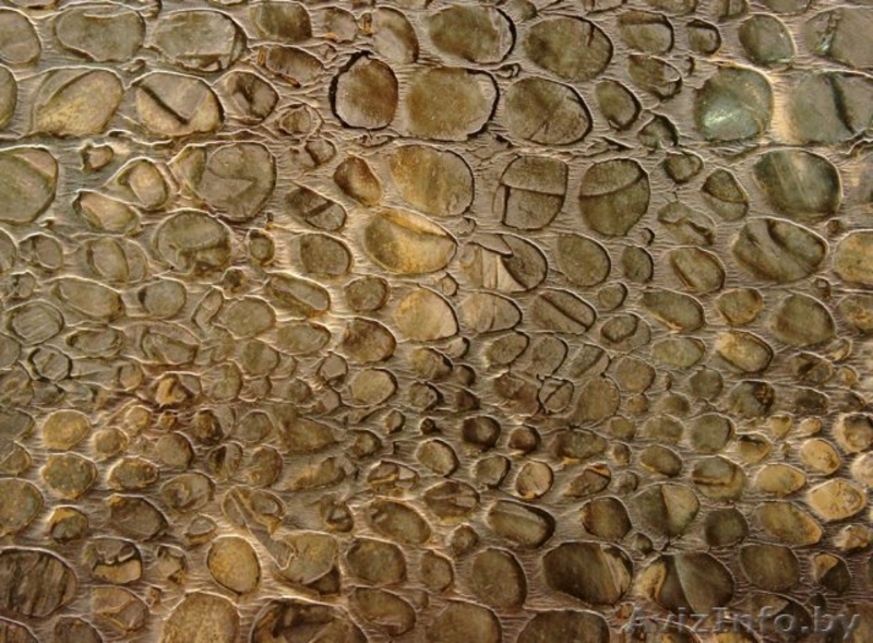 Штукатурка, Шпатлевка, отделка - Изображение #4, Объявление #1417626