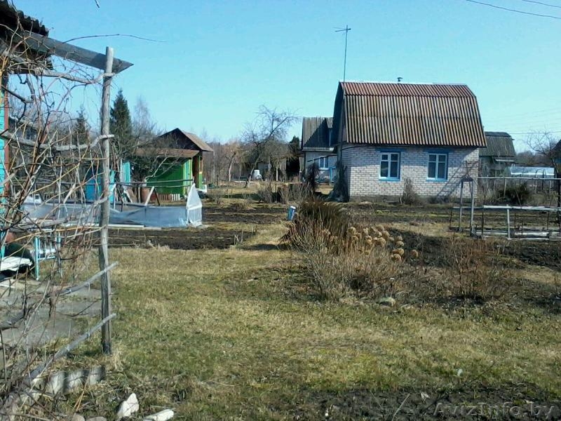 Продается Дача  для отдыха - Изображение #7, Объявление #1366513