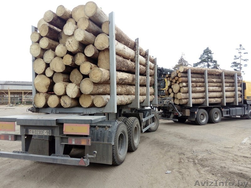 Деревообрабатывающие производство  - Изображение #1, Объявление #1571968