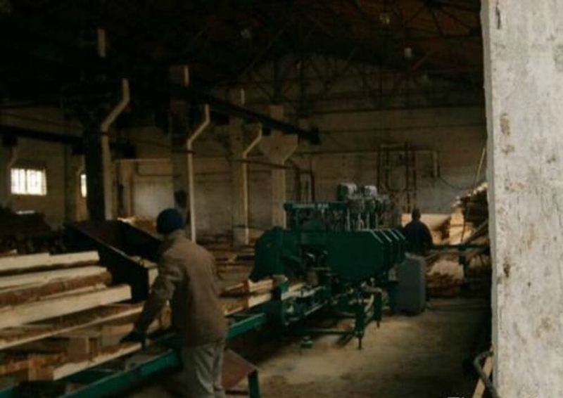 Многоленточный конвейер "Гравитон МЛК-Ш" - Изображение #2, Объявление #1645226