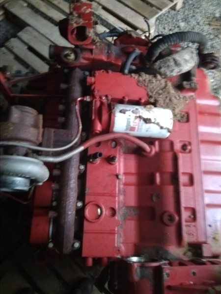 Двигатель Cummins, Борисов - Изображение #3, Объявление #1646624