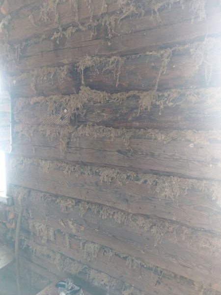 Продажа сруба - Изображение #4, Объявление #1676426