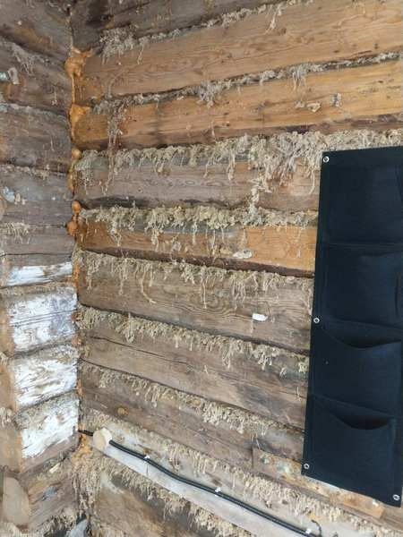 Продажа сруба - Изображение #9, Объявление #1676426